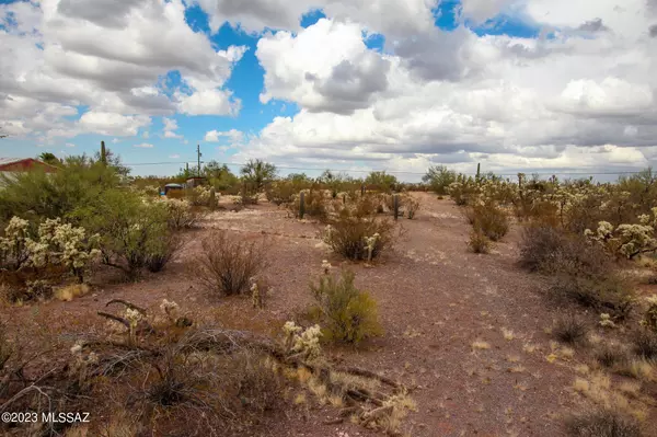 Saddlebrooke, AZ 85739,44415 E Cadillac Wash RD