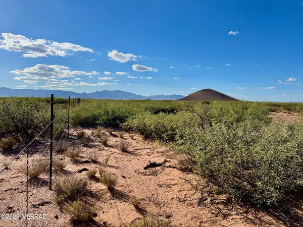 Pearce, AZ 85625,0 E Buck Ranch RD