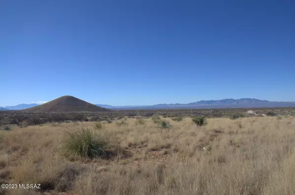 Pearce, AZ 85625,Lot 209 E Diamondback Road #209