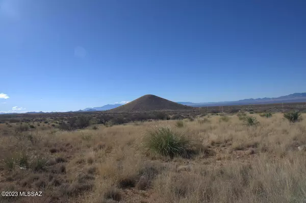 Pearce, AZ 85625,Lot 209 E Diamondback Road #209