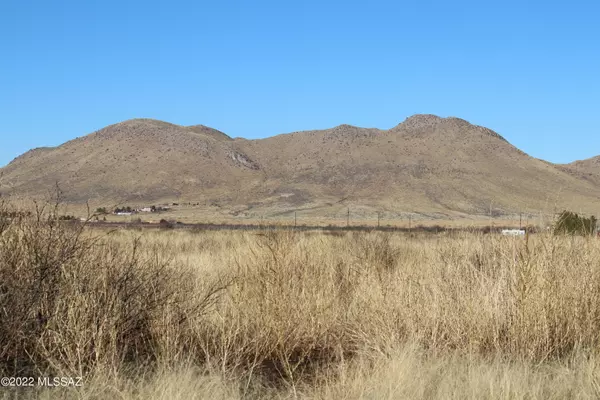 Pearce, AZ 85625,11401130L S Kansas Settlement RD #37L