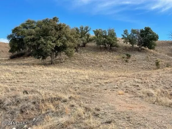 Sonoita, AZ 85637,00 Sierra Grande Ranch RD #2