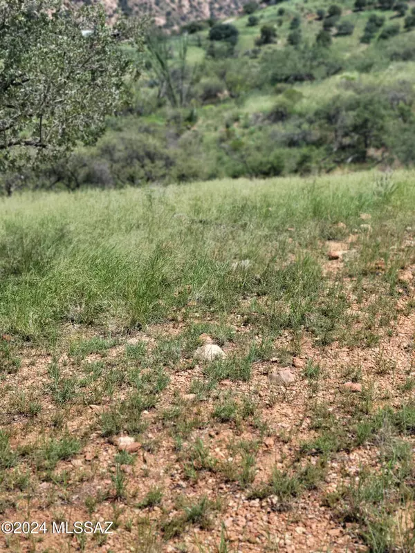 Bisbee, AZ 85603,TBD N Hannon Ranch LN