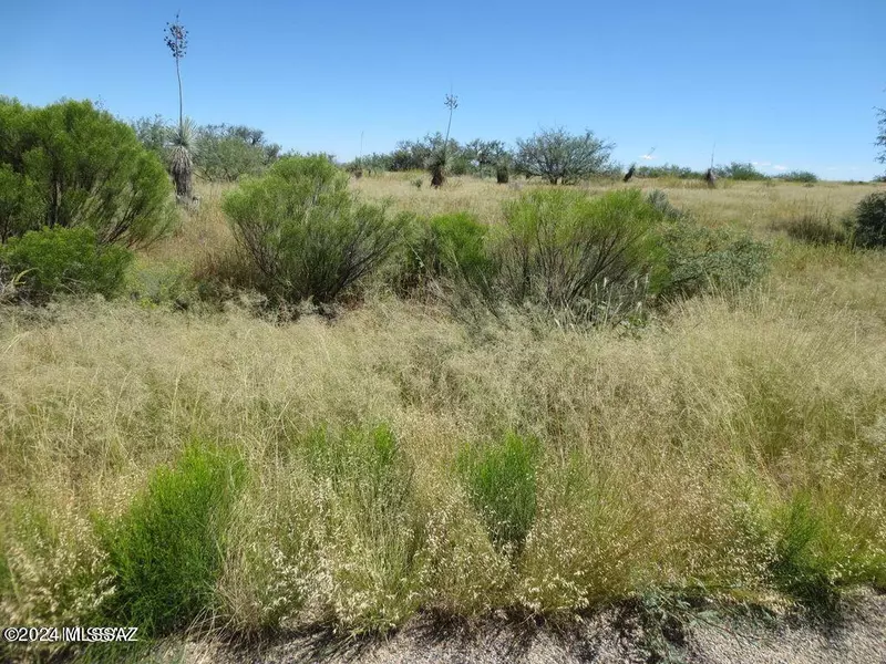 3063 W Conaway Circle #200, Benson, AZ 85602