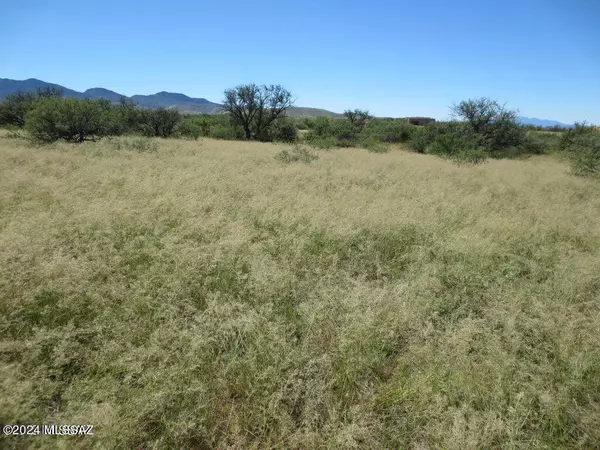 Benson, AZ 85602,3063 W Conaway Circle #200