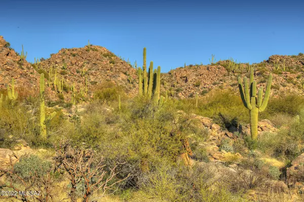 Oro Valley, AZ 85755,14451 N Giant Saguaro PL #32