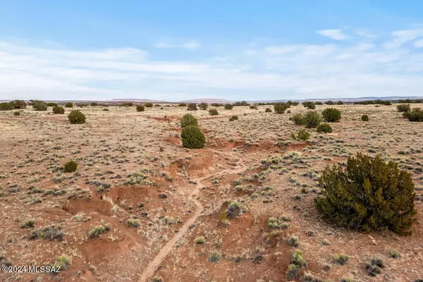 Concho, AZ 85924,Lot 616 Woodridge Ranch #15