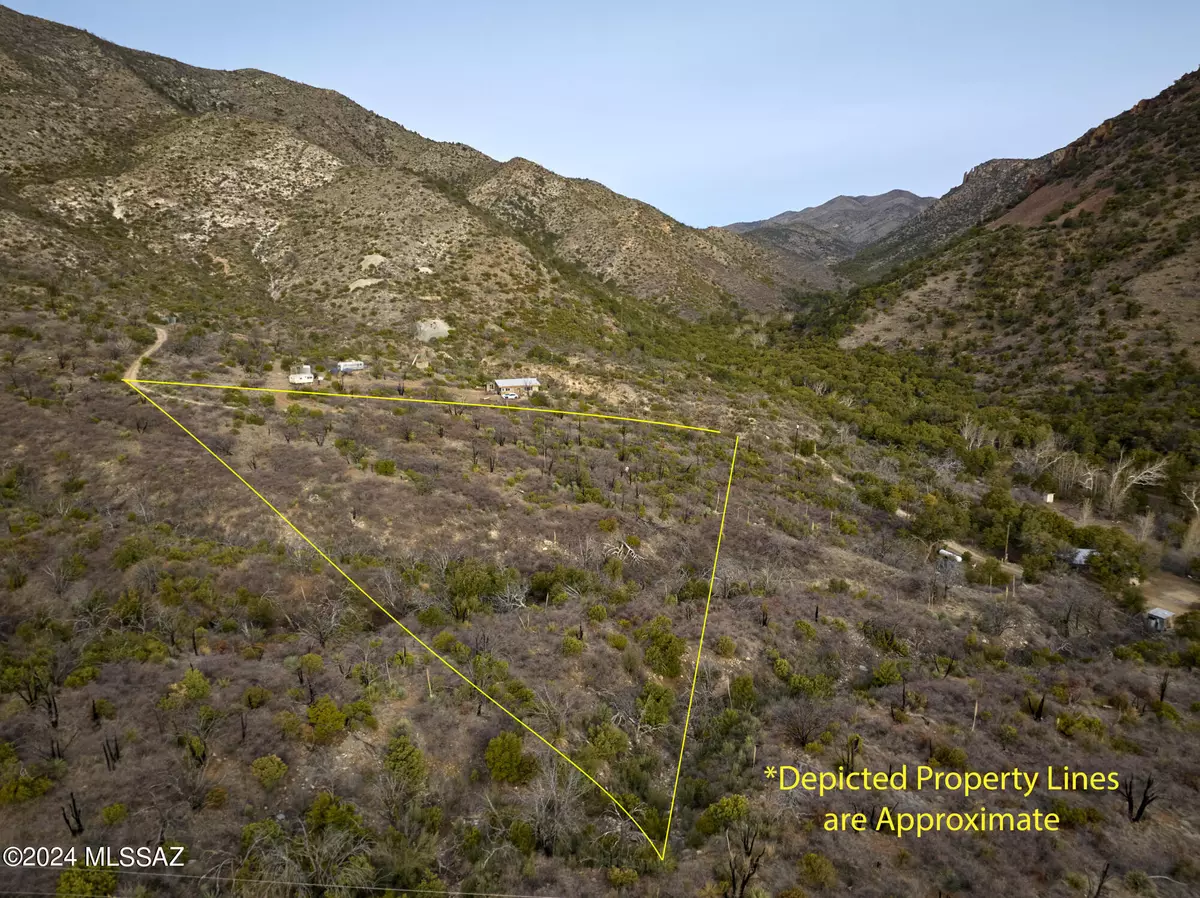 San Simon, AZ 85632,3.49 Acre W Hilltop RD #n/a