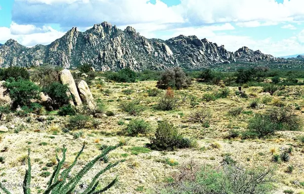 St. David, AZ 85630,N Far View LN #LOT 187