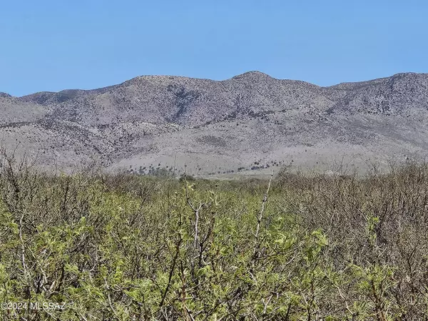 40 Acres E Carolyn Fraser LN #-,  Pearce,  AZ 85625