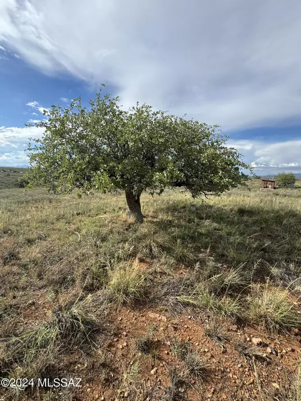 Sonoita, AZ 85637,TBD Hillcrest DR #7