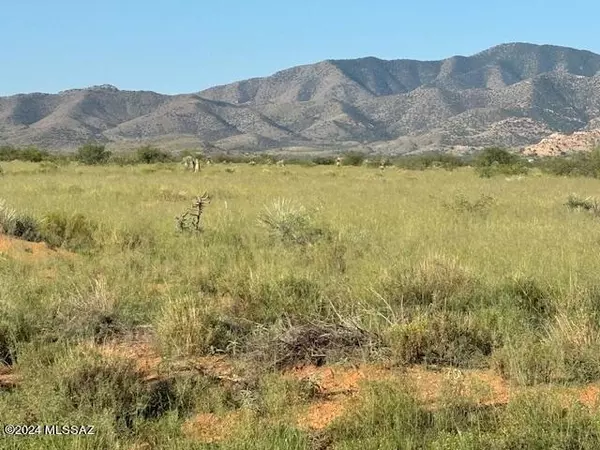 Pearce, AZ 85625,7 Lots E Quinn RD #.