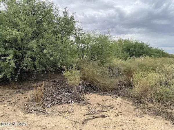 Safford, AZ 85546,TBA W Doggie DR #0