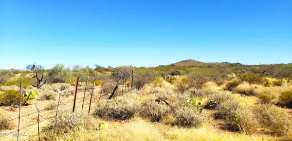 Saddlebrooke, AZ 85739,49300blk E Panther Butte RD