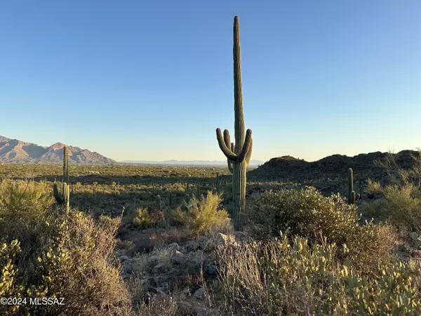 Marana, AZ 85658,13672 N Old Ranch House RD #Lot 1