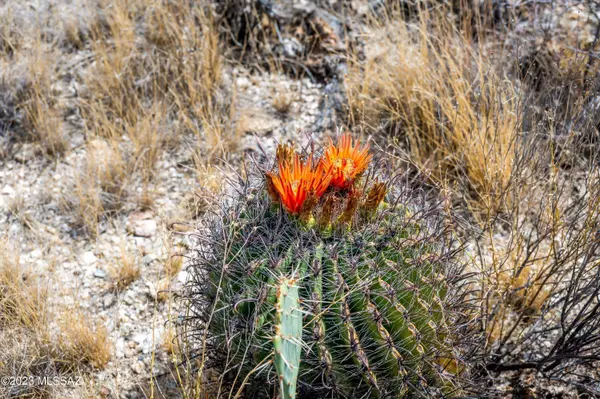 Tucson, AZ 85730,4190 Saguaro Path CT #7