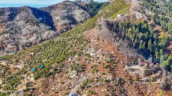 Mt. Lemmon, AZ 85619,12897 N WINKELMAN AVE #14