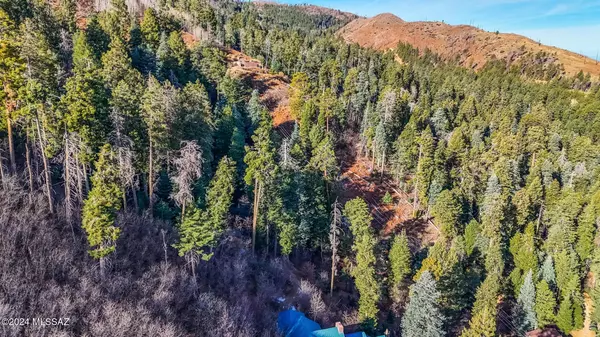 Mt. Lemmon, AZ 85619,12897 N WINKELMAN AVE #14