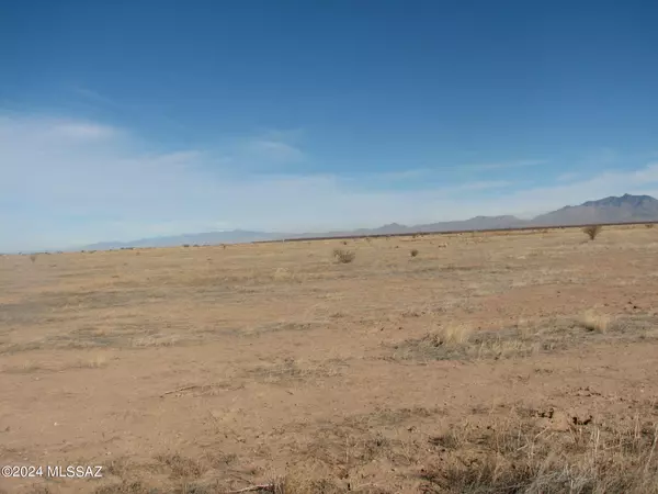 40 acres Parker Ranch RD #----, Willcox, AZ 85643