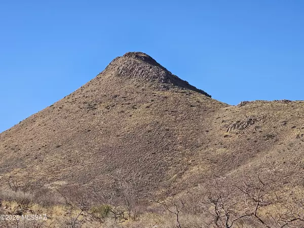 Willcox, AZ 85643,40 Acres Indian Ridge RD