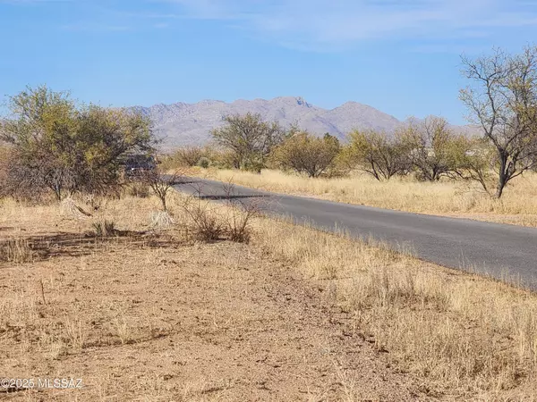 Benson, AZ 85602,16350 S Whetstone AVE #173