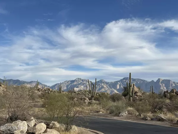 Oro Valley, AZ 85755,1533 Tortolita Mountain CIR #286