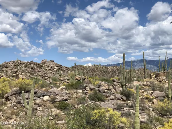 Tucson, AZ 85755,1194 W Tortolita Mountain CIR #194