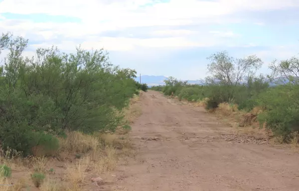 Portal, AZ 85632,20 ac S B Lee Lane #0