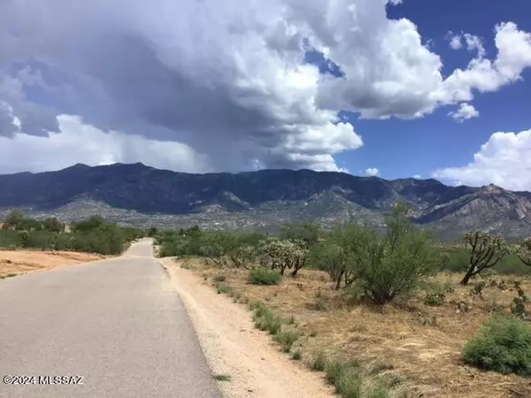 Catalina, AZ 85739,E Rollins RD