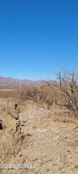 1742 Ruta Caravela #10, Rio Rico, AZ 85648