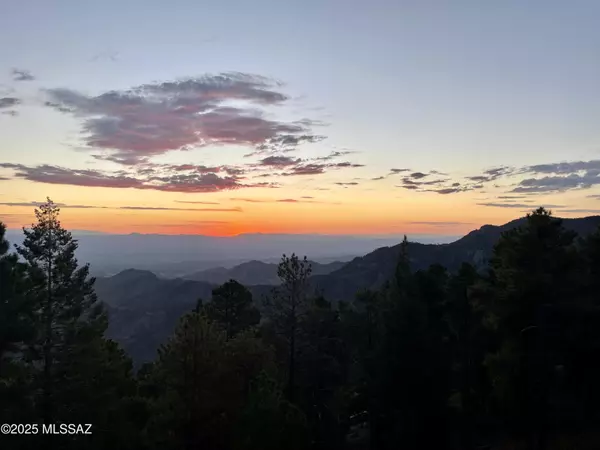 Mt. Lemmon, AZ 85619,12816 N Upper Loma Linda RD