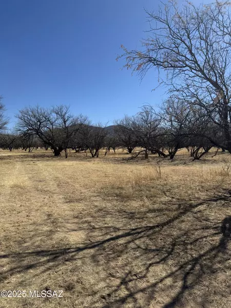 000 No Address #1, Nogales, AZ 85621