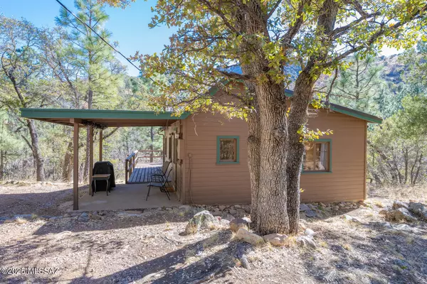 Pearce, AZ 85625,13441 E Saulsberry TRL