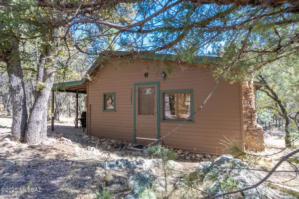 Pearce, AZ 85625,13441 E Saulsberry TRL