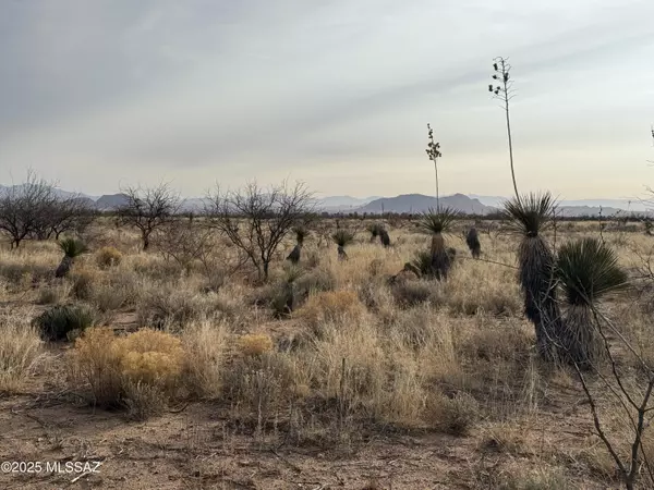 Pearce, AZ 85625,0.85 ac Treasure Road #3