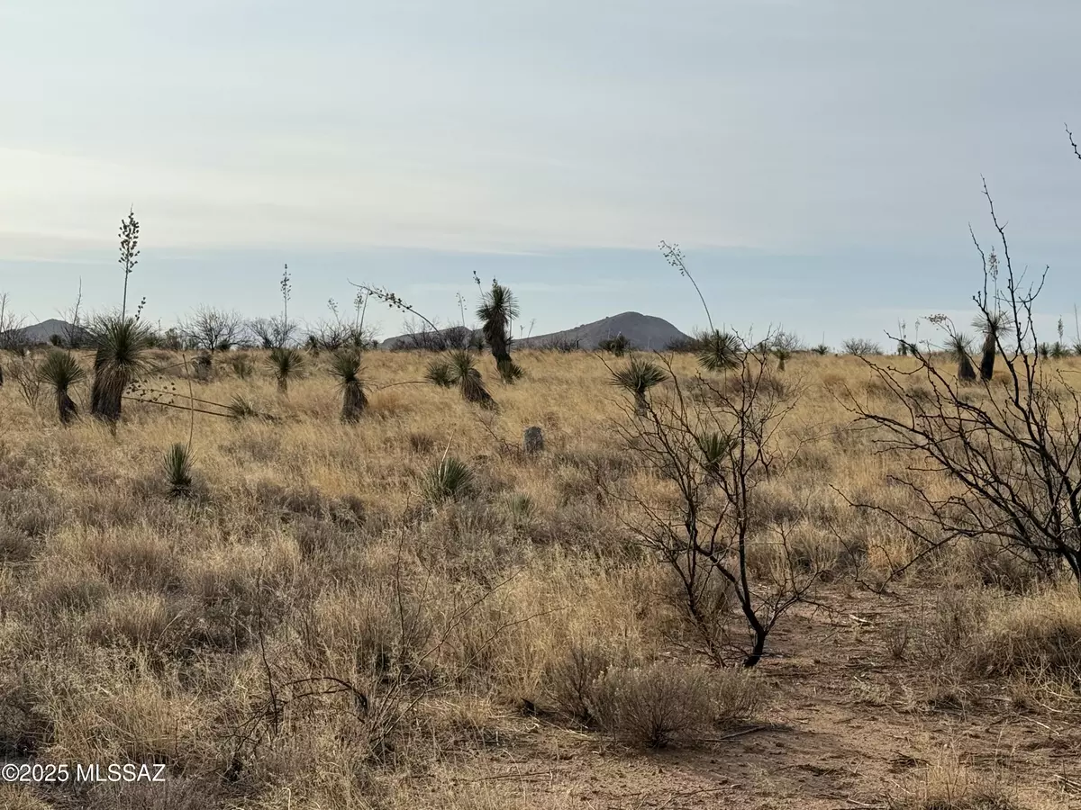 Pearce, AZ 85625,0.85 ac Treasure Road #3