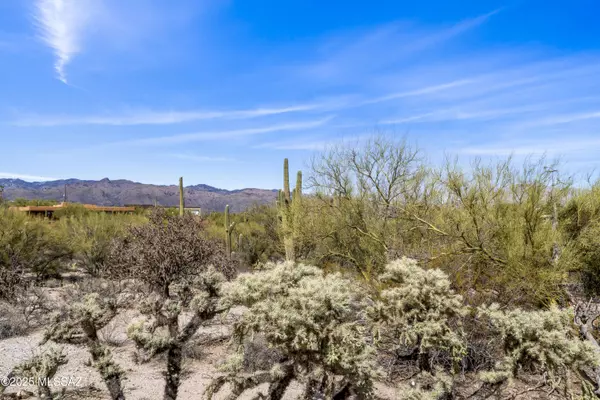 Tucson, AZ 85749,9633 E Giant Cacti DR #14