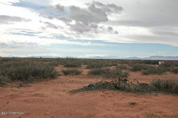 Mc Neal, AZ 85617,0 N Horvatin LN #0