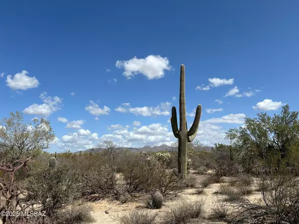 Tucson, AZ 85742,5020 W Lambert LN