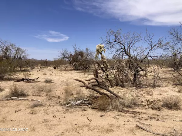 Tucson, AZ 85736,16420 W Cowboy PL #75