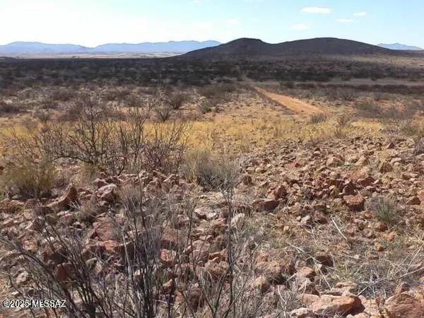 Elfrida, AZ 85610,TBD S Old Major Way