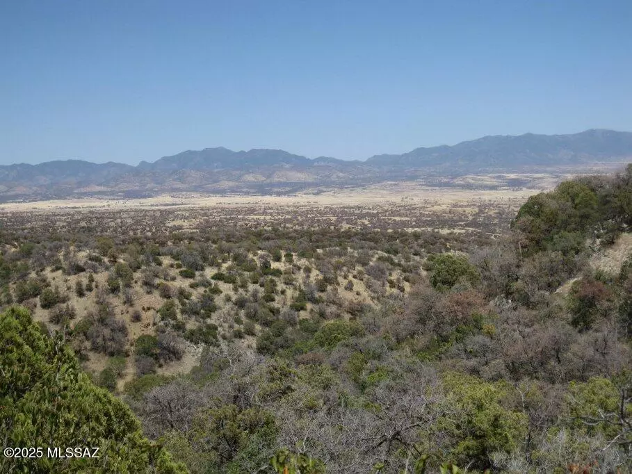 Patagonia, AZ 85624,TBD Keystone Road #17-A