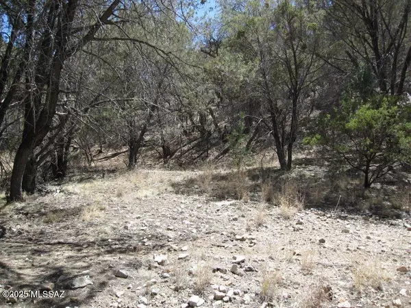 Patagonia, AZ 85624,TBD Keystone Road #17-A