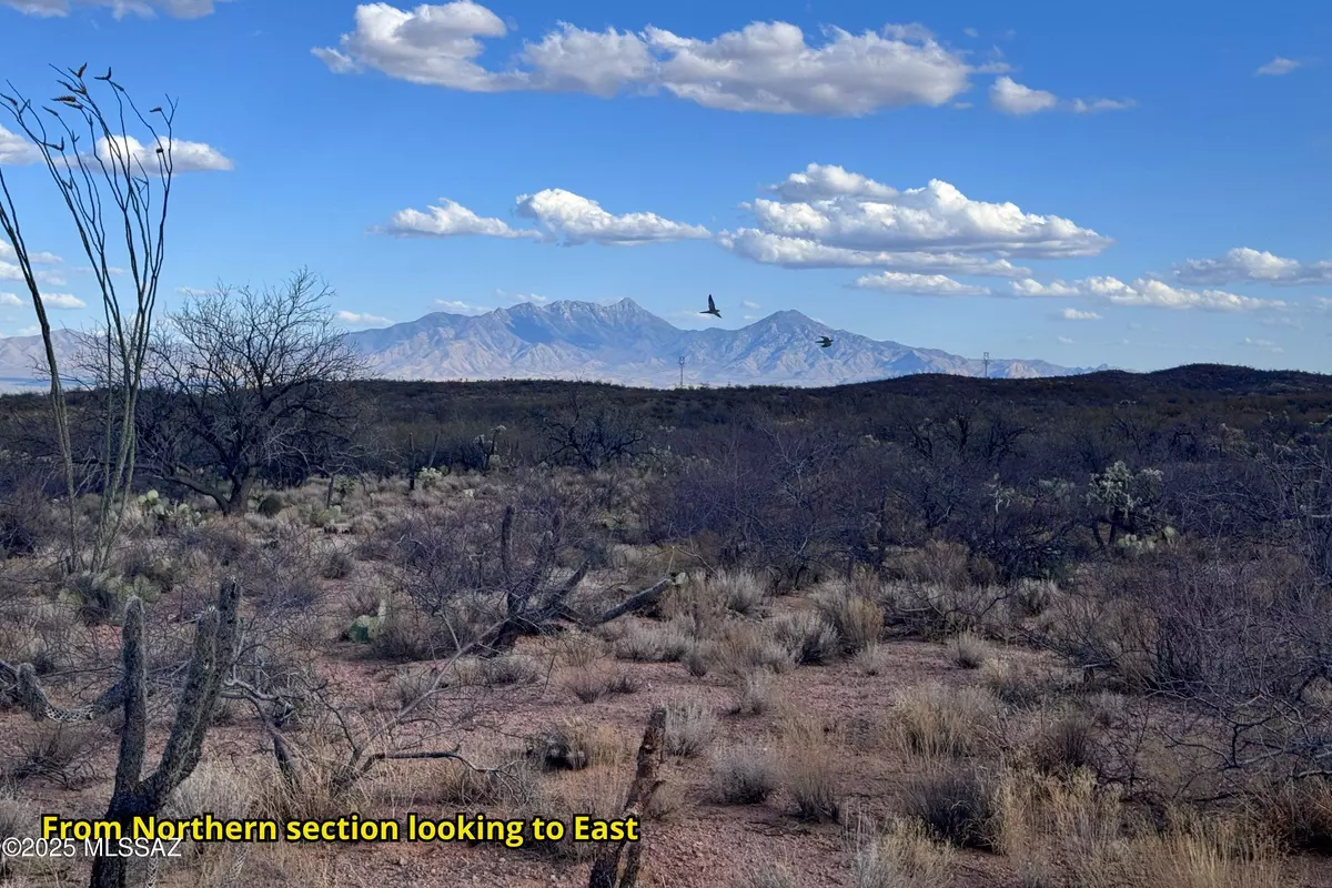 Sahuarita, AZ 85629,6700 Dogtown RD