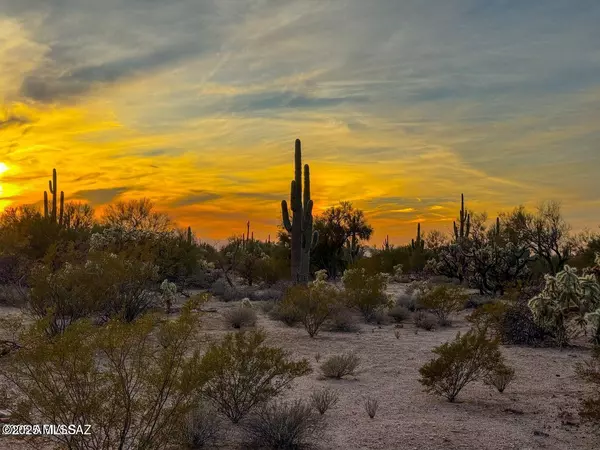 Marana, AZ 85658,0 S Twin Hawk Ln Lot 3 (5 acres)