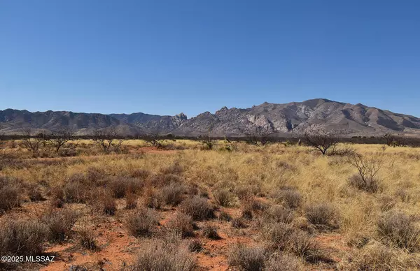 Pearce, AZ 85625,2 Lots W Tipton #8 & 9