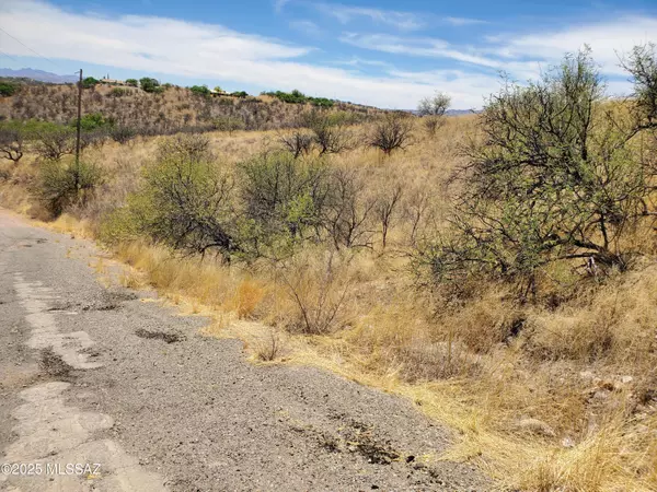 Rio Rico, AZ 85648,501 Camino Ramanote #19