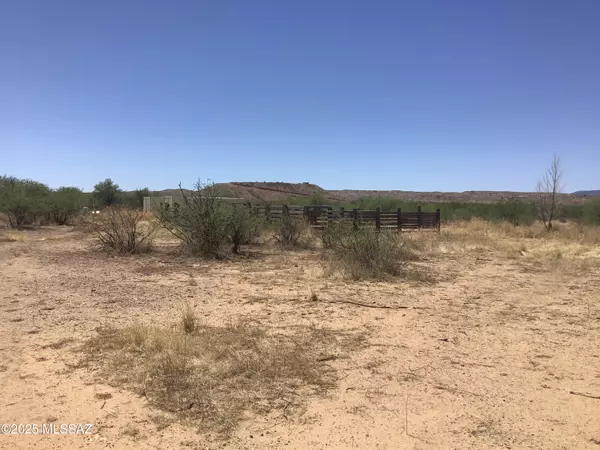Willcox, AZ 85643,10.10ac W Bonita Klondyke RD #Part 90