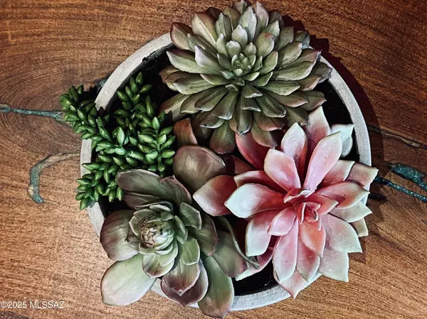 Oro Valley, AZ 85755,371 W Sacaton Canyon DR