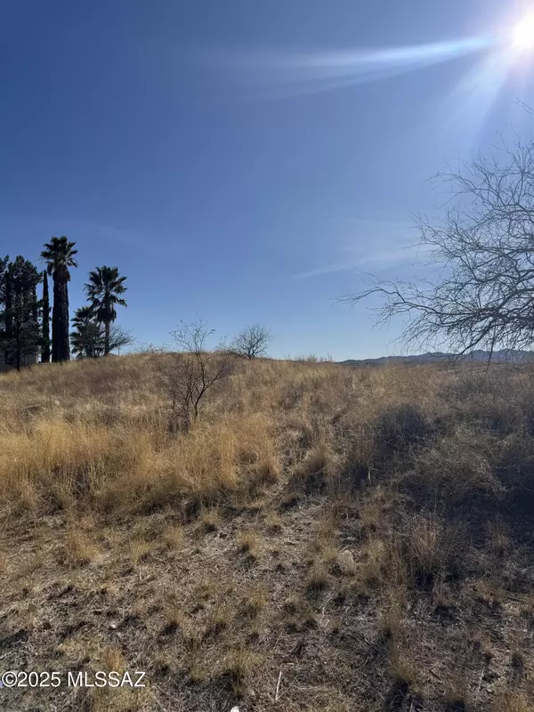 Nogales, AZ 85621,N Maripos Hills PL #29